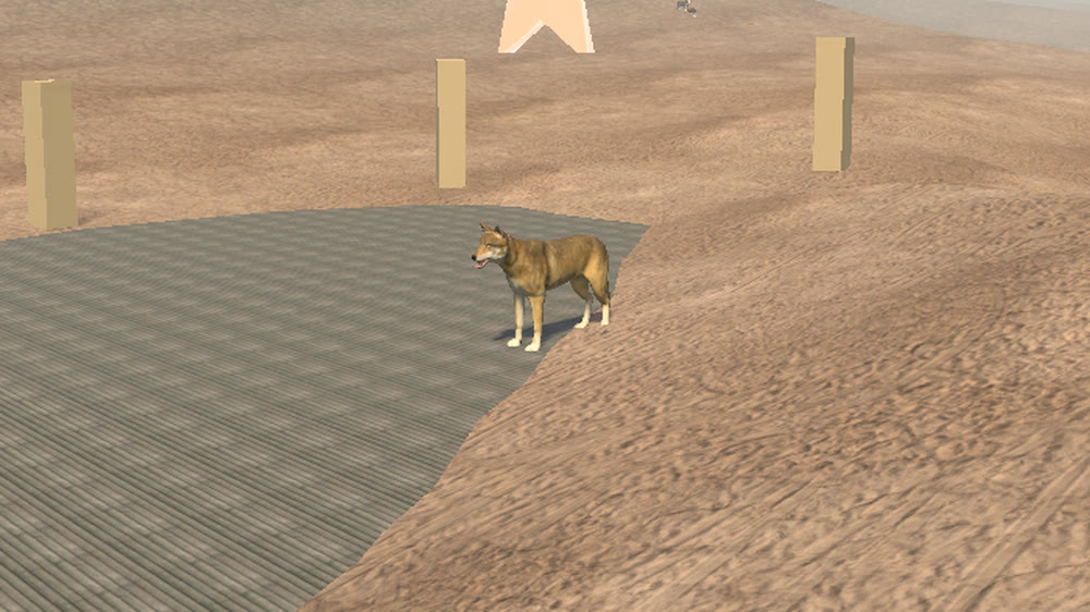 Cedar Wolf