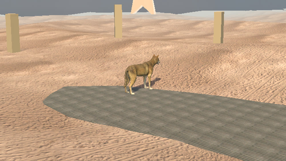 The Najd Wolf
